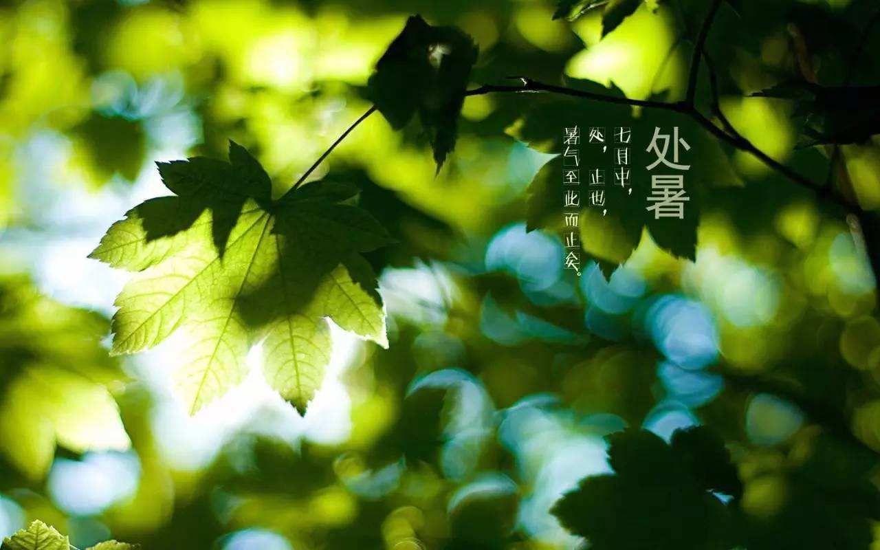 處暑 | 一度暑出處暑時(shí)，秋風(fēng)送爽已覺遲