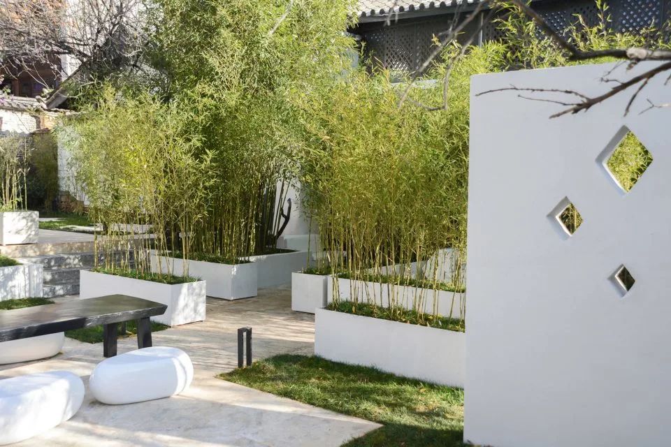 竹，庭院景觀設(shè)計(jì)中的必備